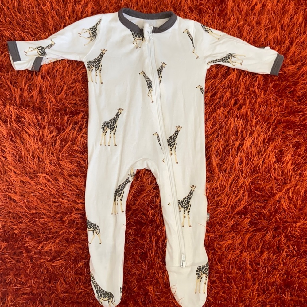 Kyte baby giraffe